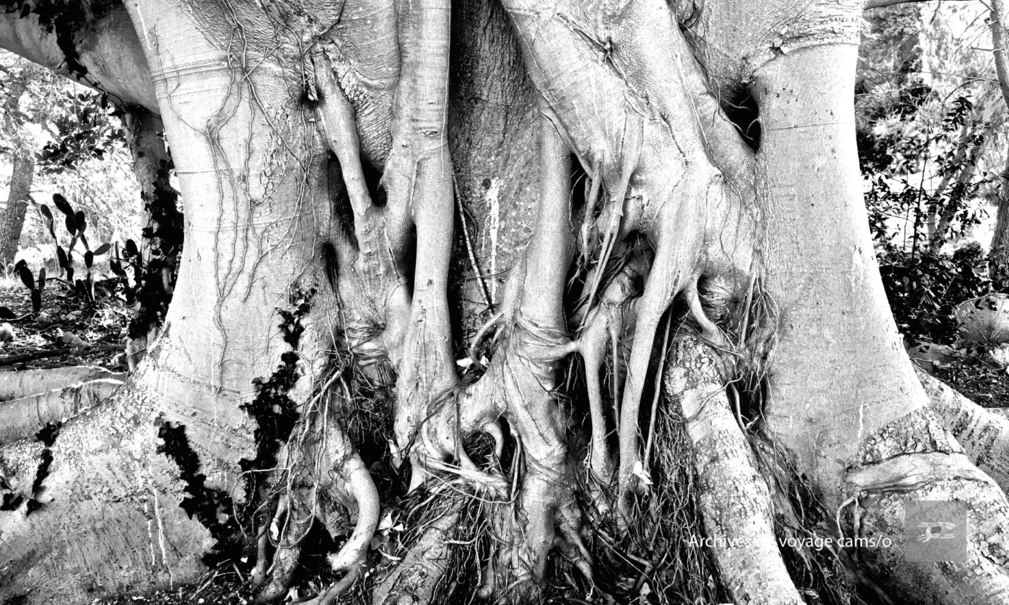 Design & Anthropocène